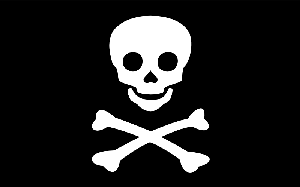 800px-jolly-roger_svg.png