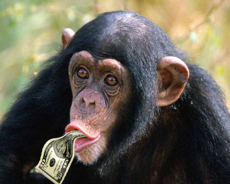 chimpanzee-money-picture-dollar.jpg