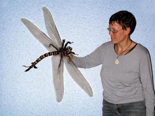 giant-dragonfly.jpg