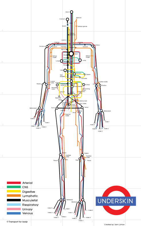 human-body-subway-map.jpg