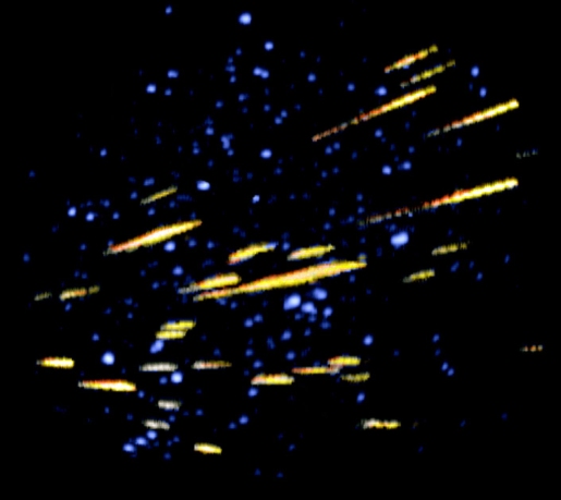 leonid-meteor.jpg