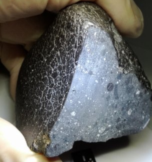 martian-meteorite