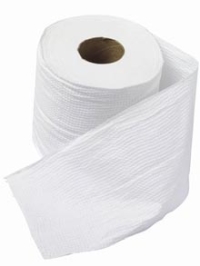 quilted-toilet-paper.jpg
