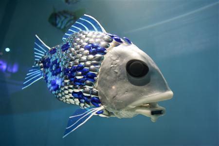 robot-fish.jpg