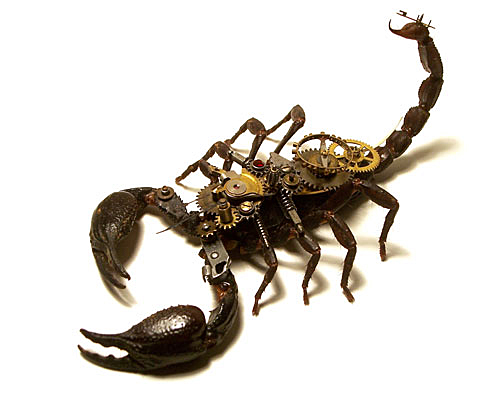 Scorpion with watch parts