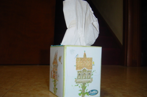 tissues.JPG
