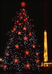 us_national_christmas_tree_1981.jpg