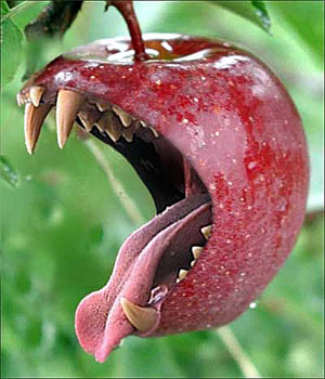 vampire apple